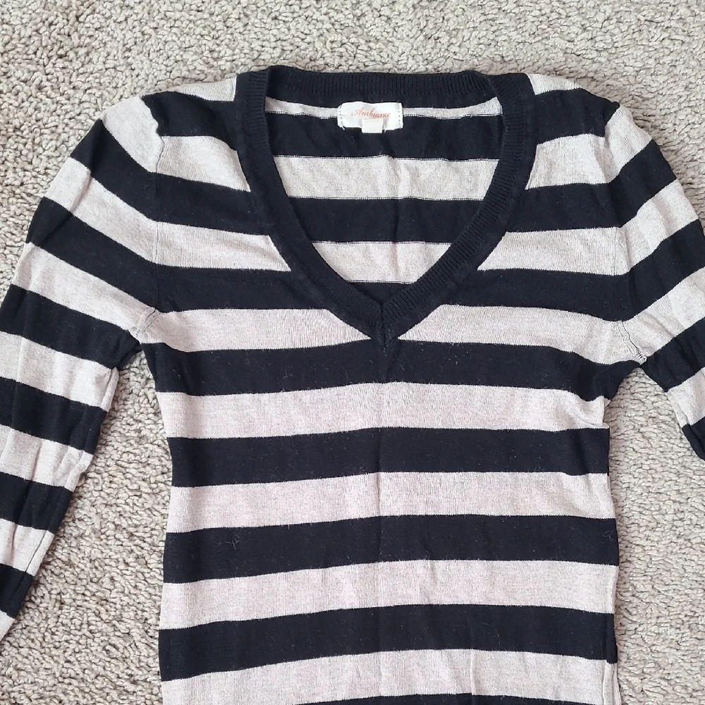 Ambiance Striped V-Neck Sweater
